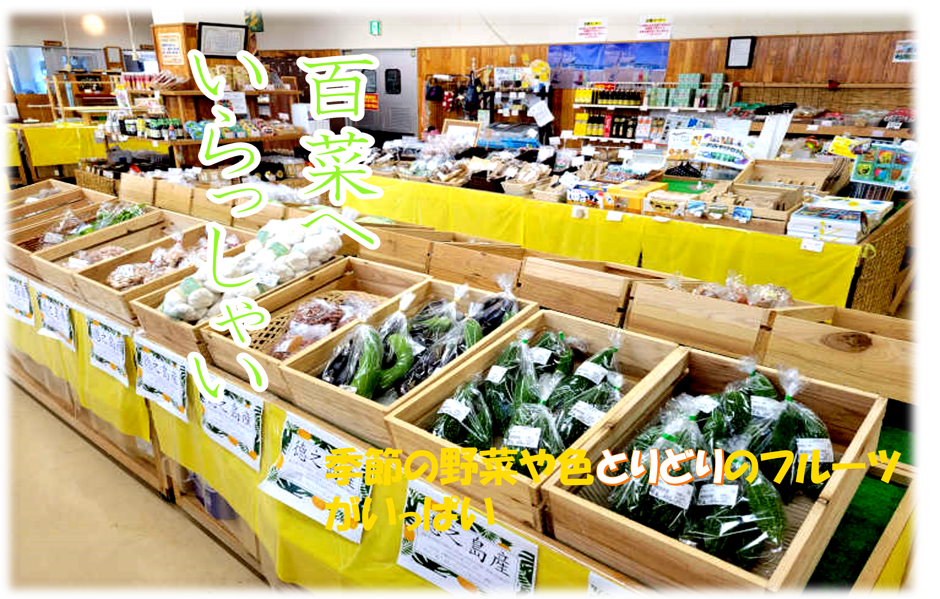 農産物が並ぶ直売所「百菜」